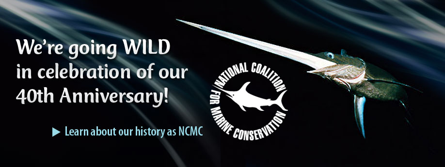 WildOcean_Anniversaryv3
