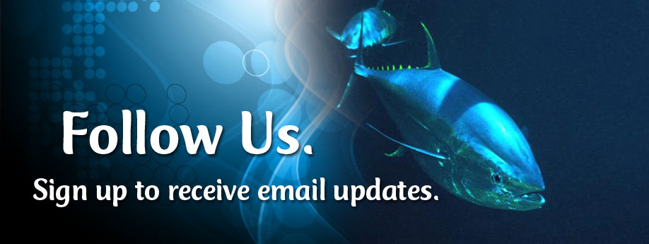 WildOcean_FollowUs_slider