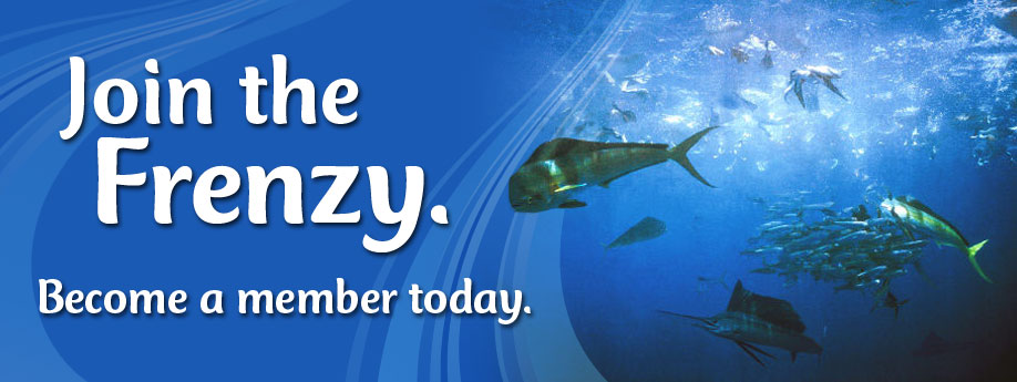 WildOcean_Member_slider1