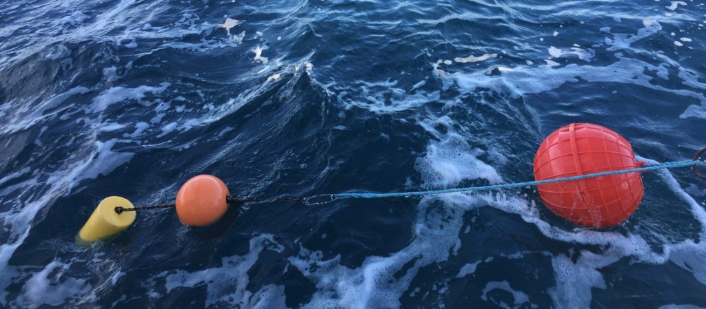 Pacific Council Corrects Course On Buoy Gear – Wild Oceans