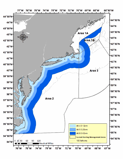 Groundbreaking Actions Proposed to Safeguard Atlantic Herring as Forage ...