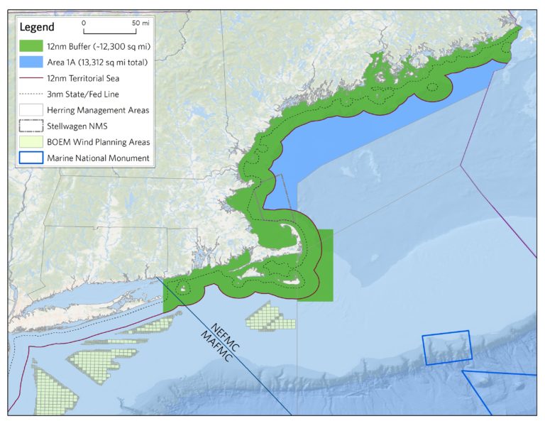 Victory for Atlantic Herring – Wild Oceans