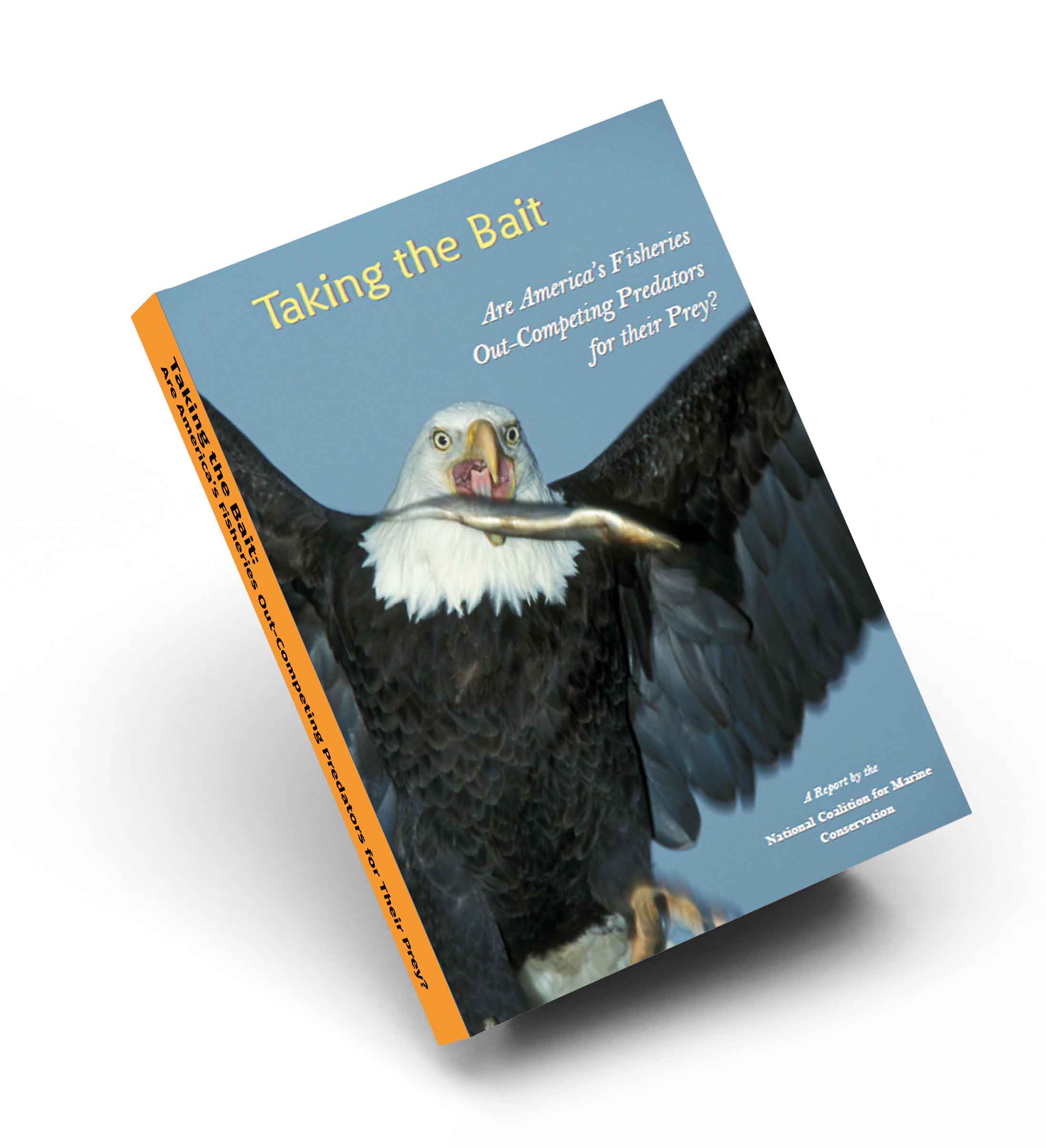 TTB-cover