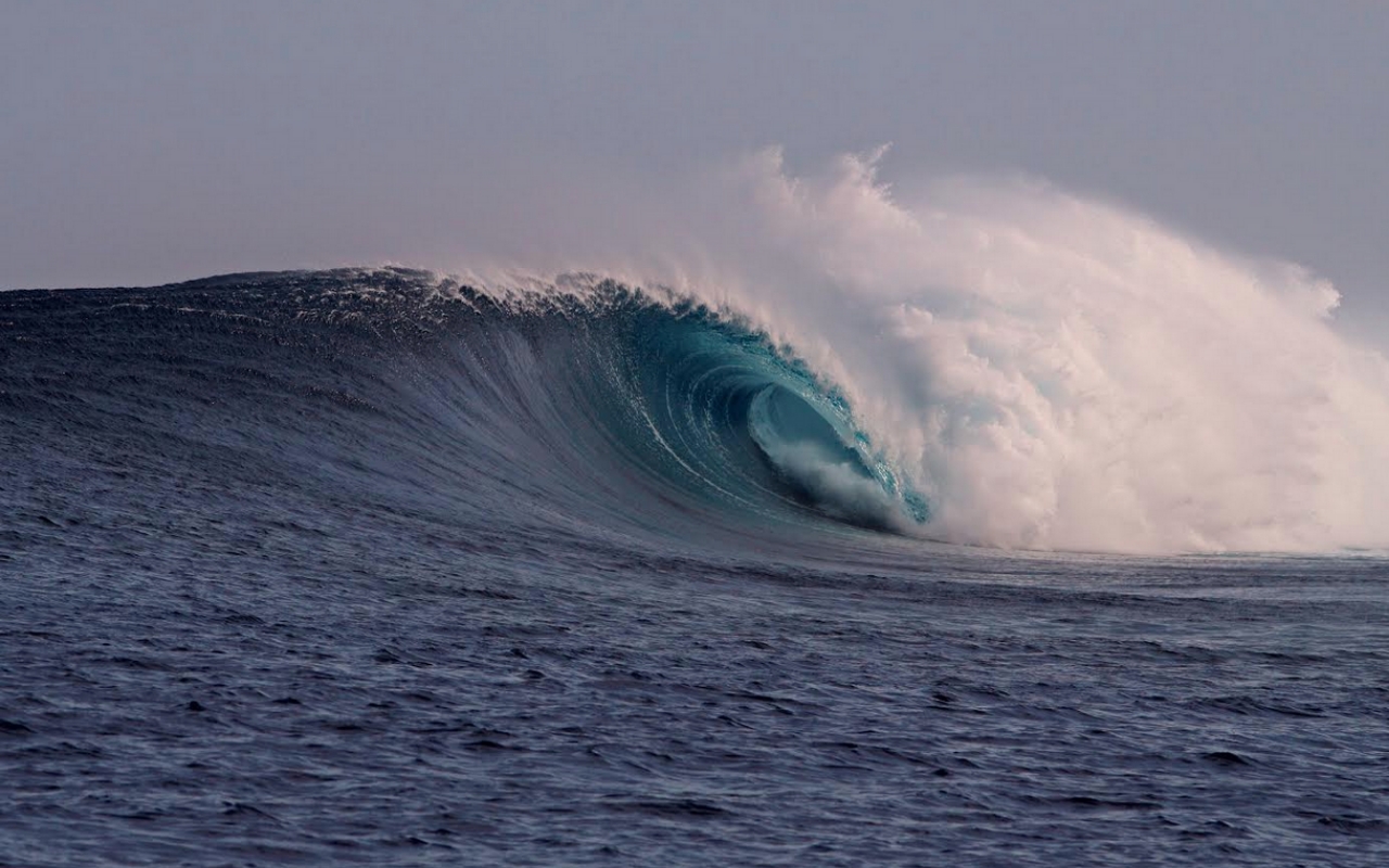 William C. Cox (1930-2013): A Remembrance